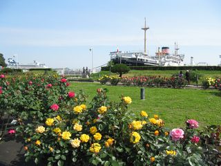IMG_0441 IMG_0441