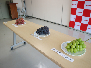 IMG_2294 IMG_2294