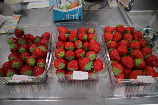 IMG_3555 IMG_3555