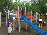 IMG_7624 IMG_7624