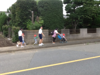 IMG_7624 IMG_7624