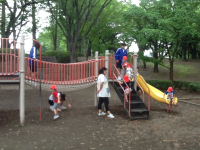 IMG_7624 IMG_7624